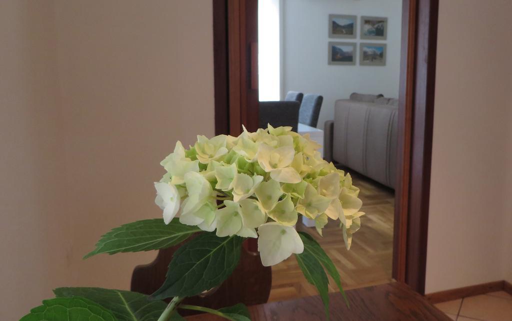 Apartment Hisa Lescer